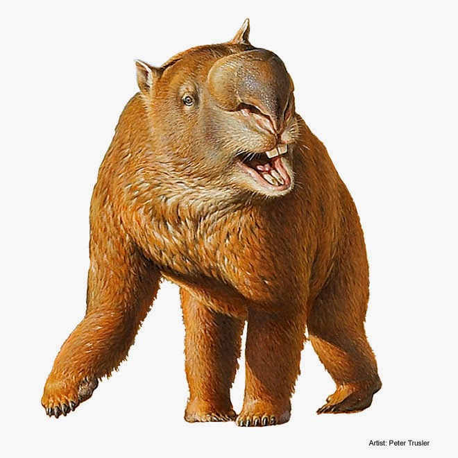 Diprotodon Hewan Terbesar Sebelum Adanya Manusia