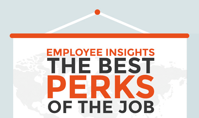 Employee Insights: The Best Perks of the Job