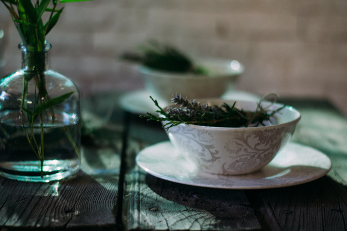 Ramilletes plantas diy