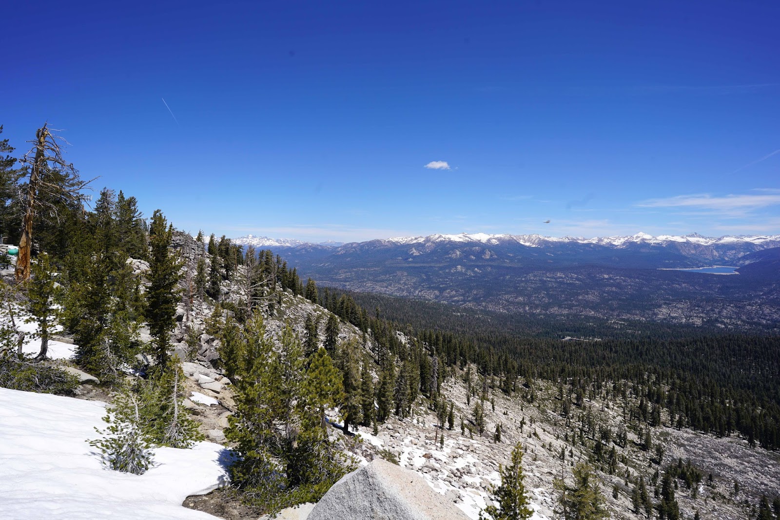 Mid Sierra Musings Kaiser Pass Road And White Bark Vista 2016