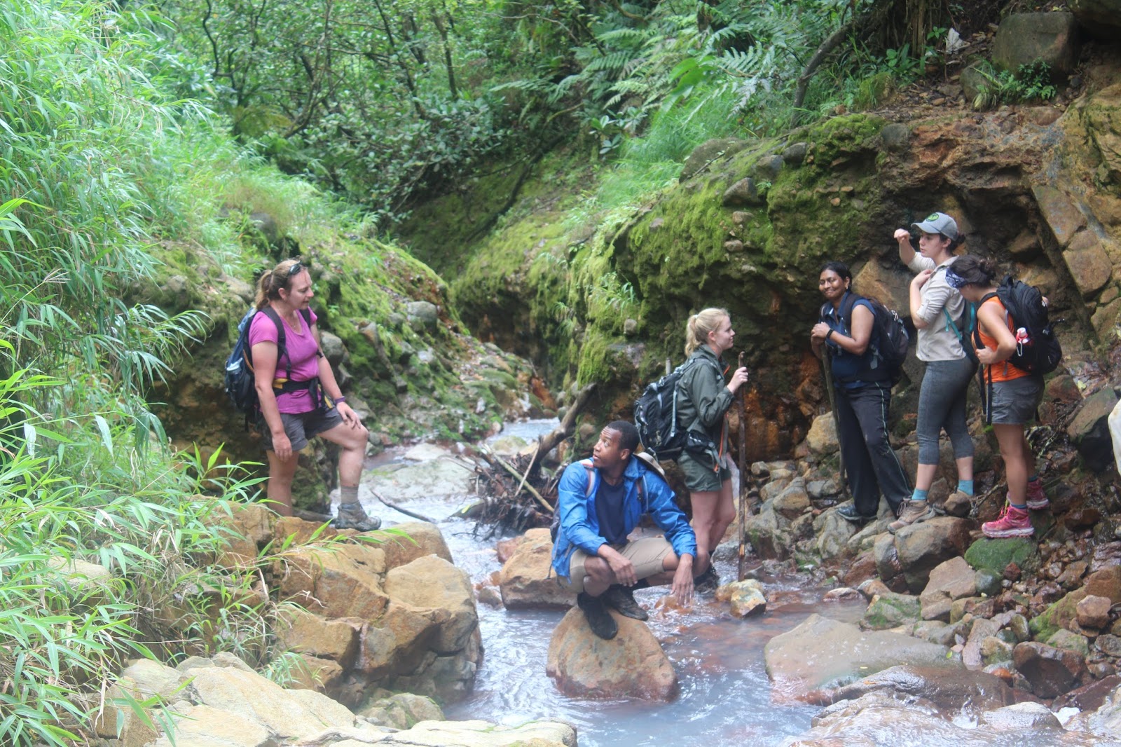 Oberlin College Geomorphology Research Group Dominica Day 5 The Valley Of Desolation