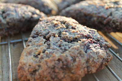 blackberry ricotta oatmeal scones (sweetandsavoryfood.com)