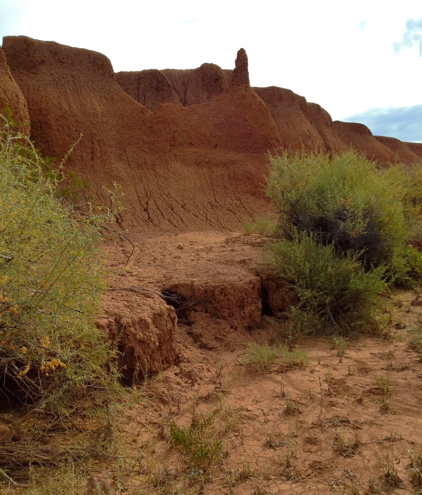 Southern New Mexico Explorer Toby Hole Mcleod Hills( Caballo Mountains)