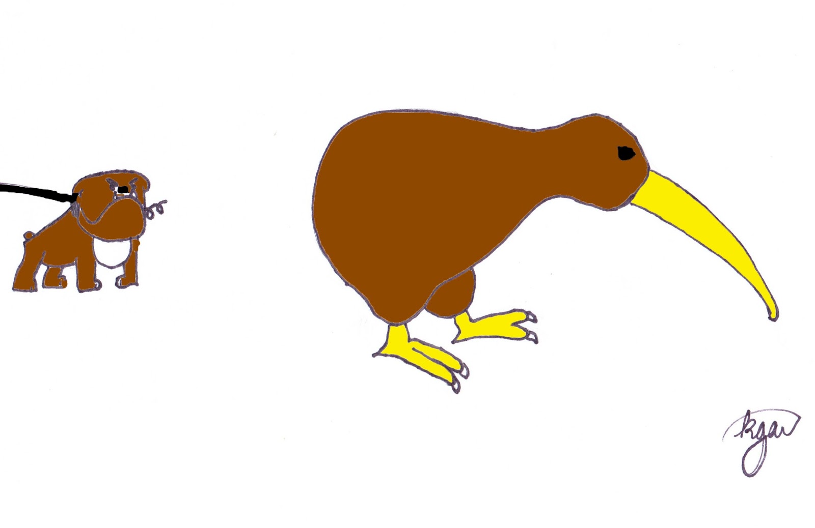 The Weekly Sketchbook New Zealand s National Animal