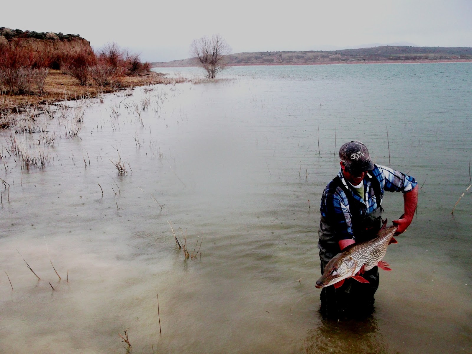 Utah Stillwaters Rocky Mountain Pike Conclave