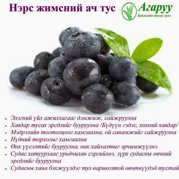 "Агаруу" Органик дэлгүүр /agaruu.mn/: Байгалийн зэрлэг жимсгэнэ: Үхрийн ...