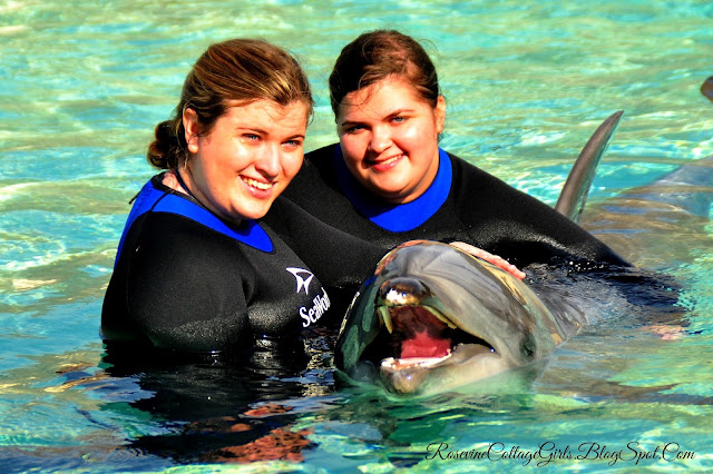 Women standing in hip deep water and a dolphin splashing them with its tail.