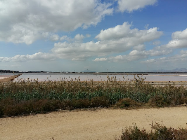 Ruta en bici Elche - Santa Pola Ruta en bici Elche - Santa Pola