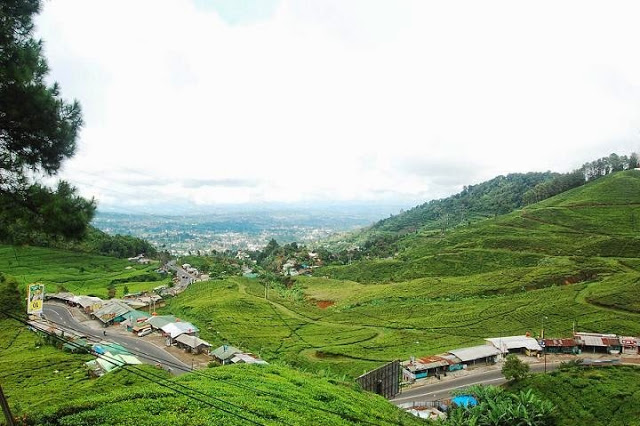 Tempat Wisata di Daerah Puncak Bogor Yang Terkenal Mamak