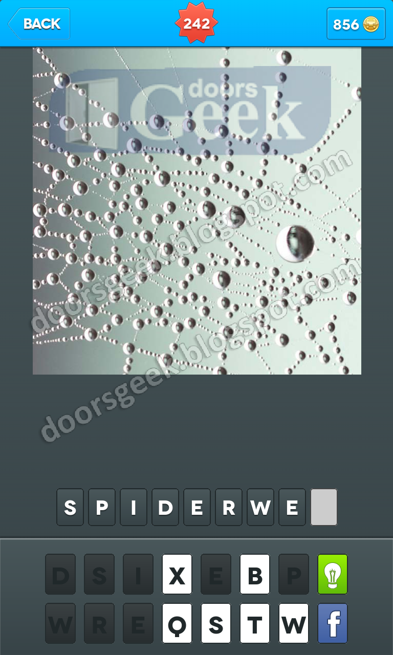 Zoomed In  Photo Word Game Level 242 ~ Doors Geek
