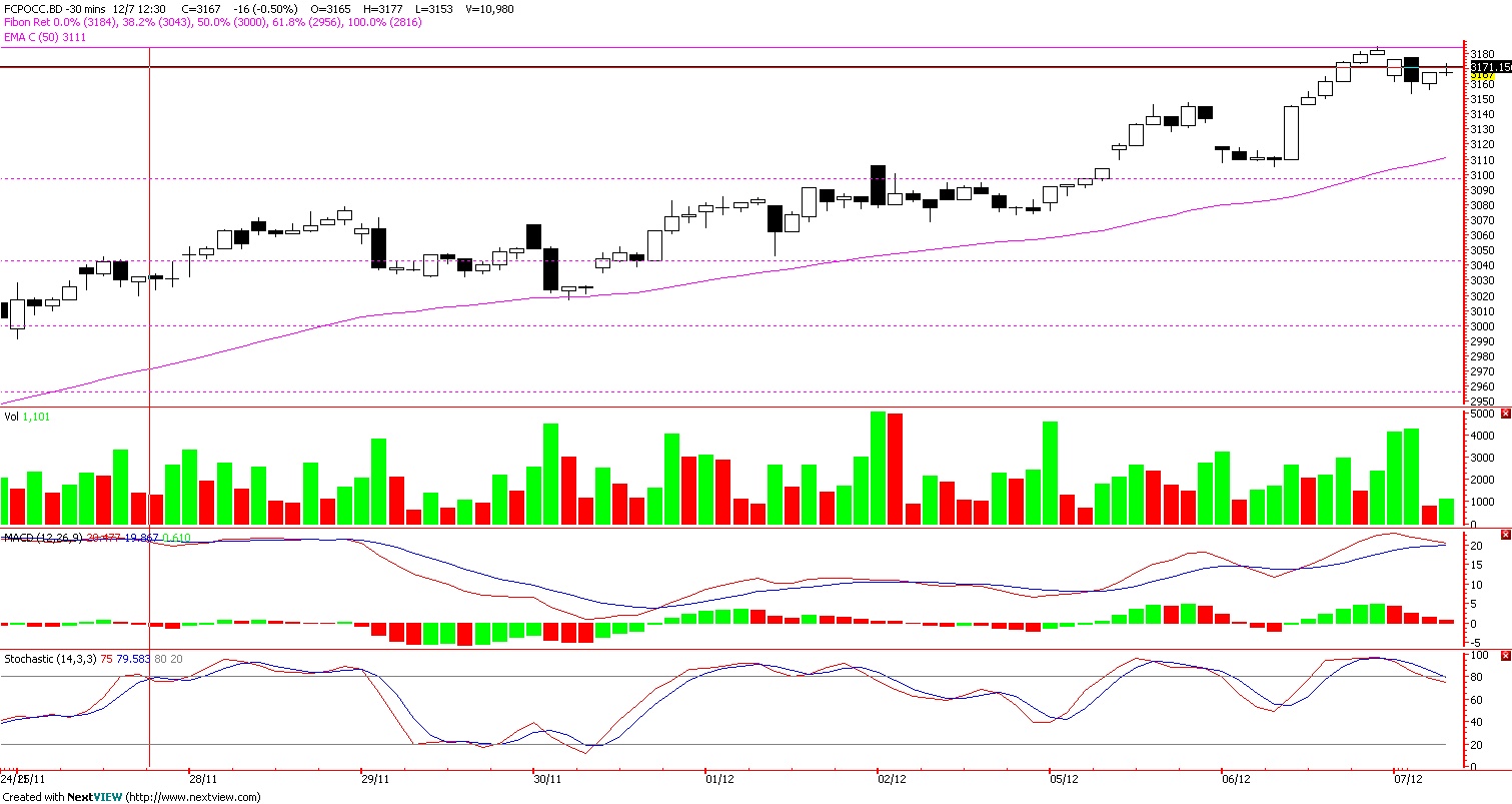 Crude palm oil trading strategy