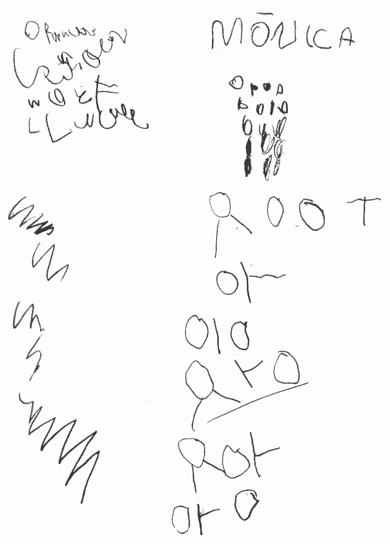 Niveles de escritura