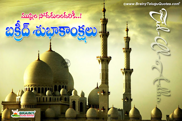 bakrid festival greetings in telugu-happy bakrid hd wallpapers-telugu bakrid images bakrid hd wallpapers quotes greetings, best bakrid messages quotes greetings in telugu