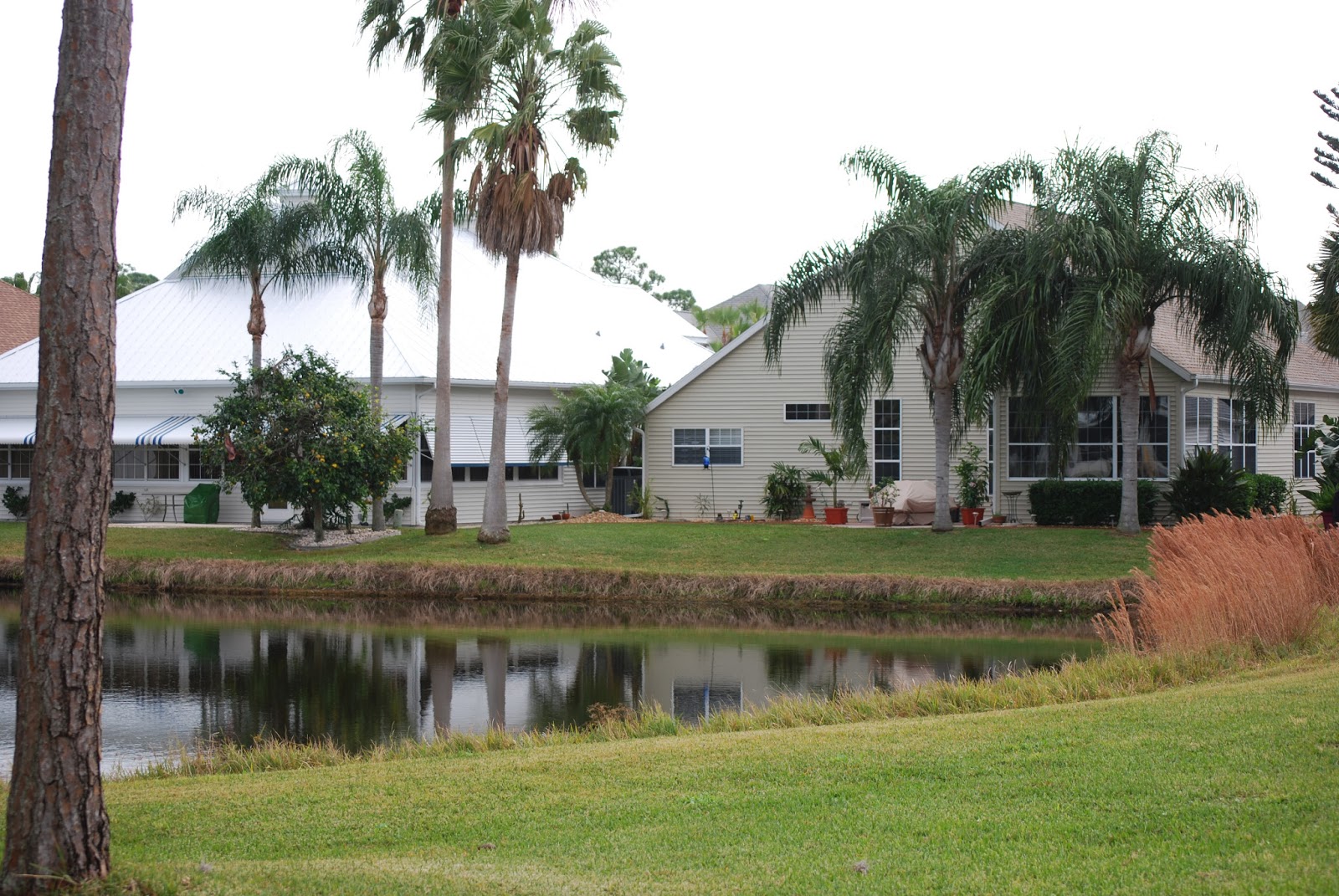 BLUE SKY AHEAD: The Great Outdoors RV Park - Titusville, FL