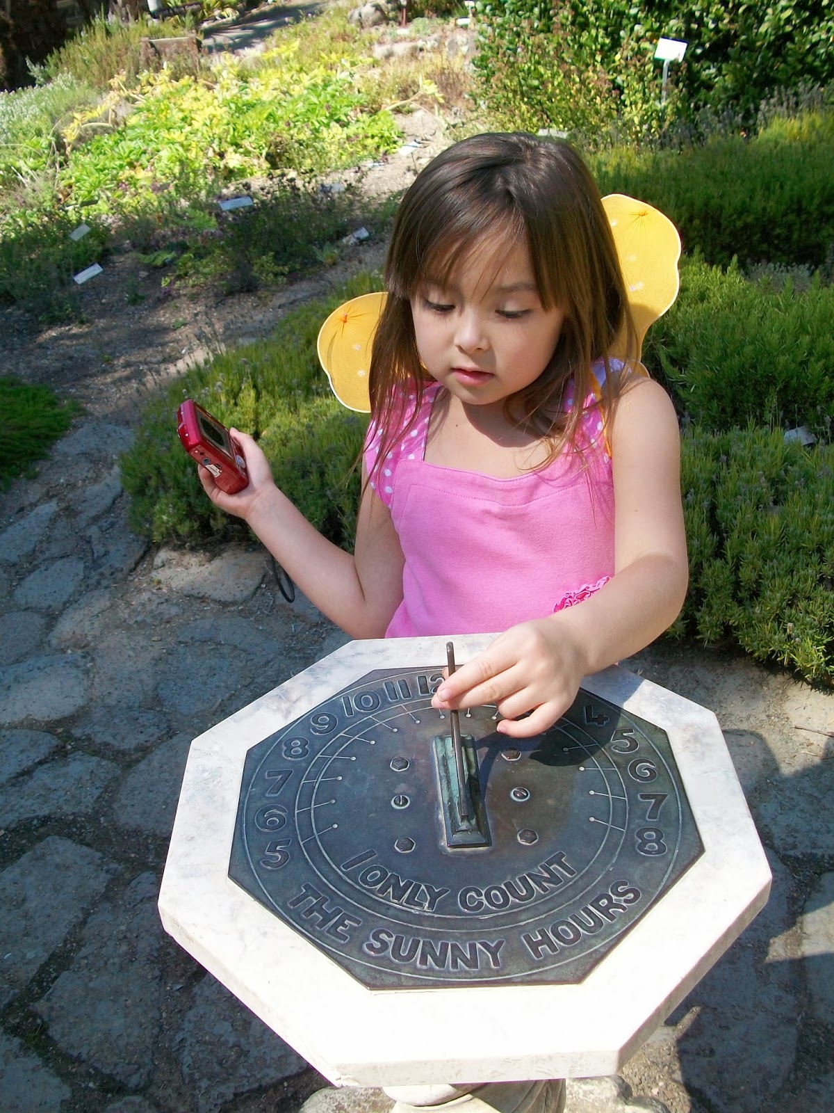 The Lemon Lady Foundation: UC Berkeley Botanical Garden. FREE Admission FIRST Thursday of each ...