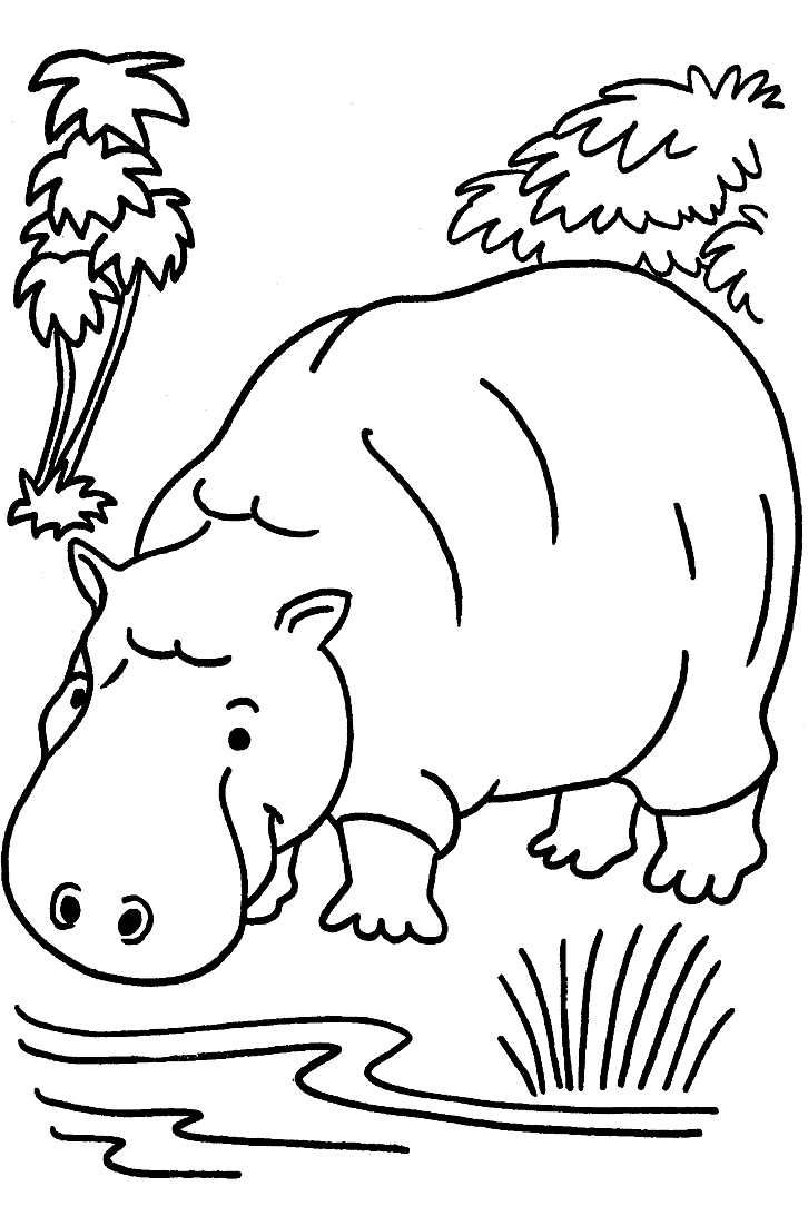 cartoon hippo coloring pages - photo #37