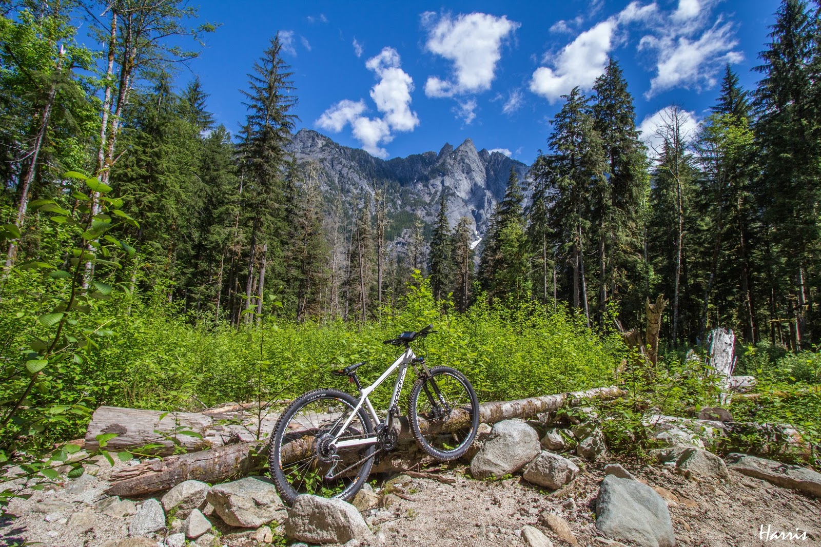 Chronicles of a ramblr Middle Fork Snoqualmie River Trail