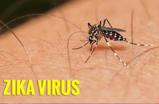Bệnh từ virut zika và cách phòng tránh
