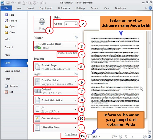 flamingo: Agustus 2015