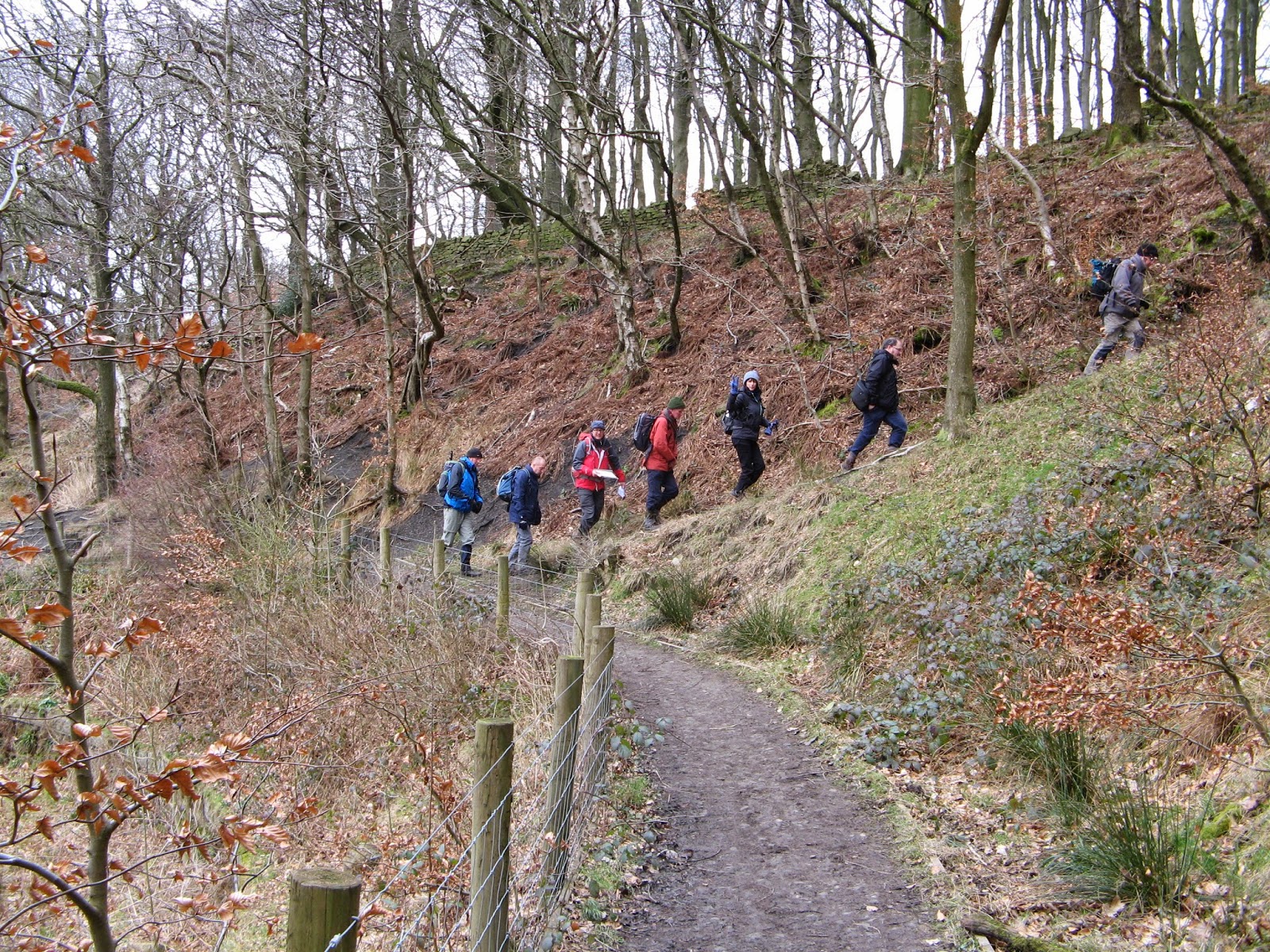 Swog Blog. (Stockport Walking Outdoor Group.) Darwin Tower walk 15/03/2015