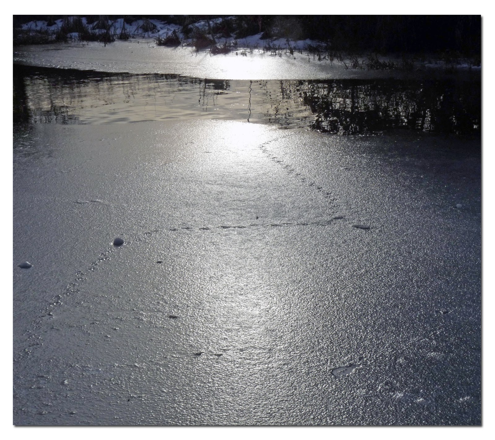 Wild and Wonderful Seasonal Splash Flatford and Felixstowe, Snow and Sunshine