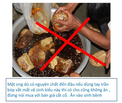 có nên mua mật ong trong siêu thị không / mua mật ong trong siêu thị có tốt không? có nên mua mật ong trong siêu thị không / mua mật ong trong siêu thị có tốt không?