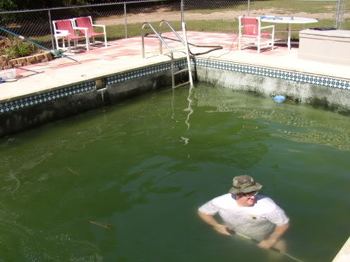 Tips dan Trik Membangun Kolam Ikan Koi dan Cara Membersihkannya Tips dan Trik Membangun Kolam Ikan Koi dan Cara Membersihkannya