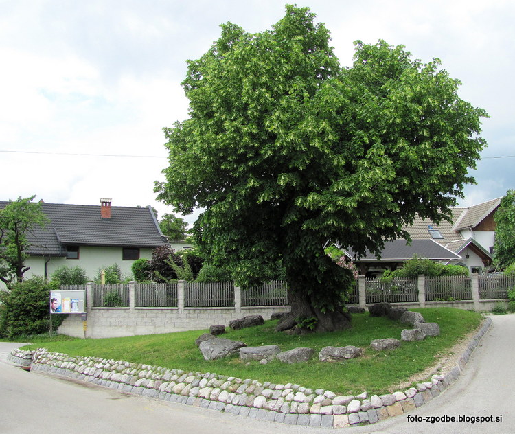 Vrba na Gorenjskem Slovenija