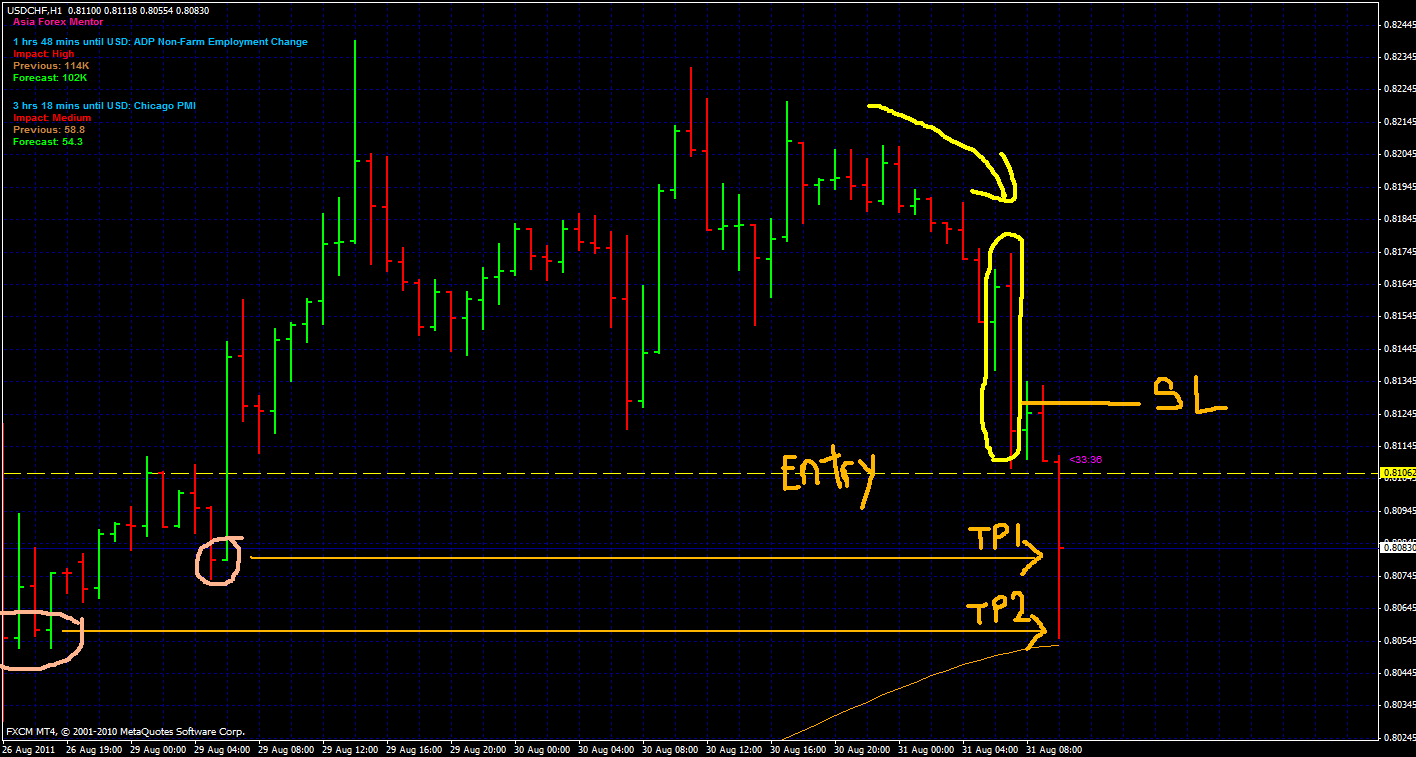 Forex helper