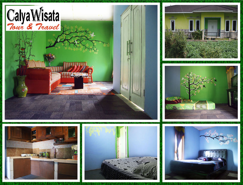 Homestay Dieng homestay dieng