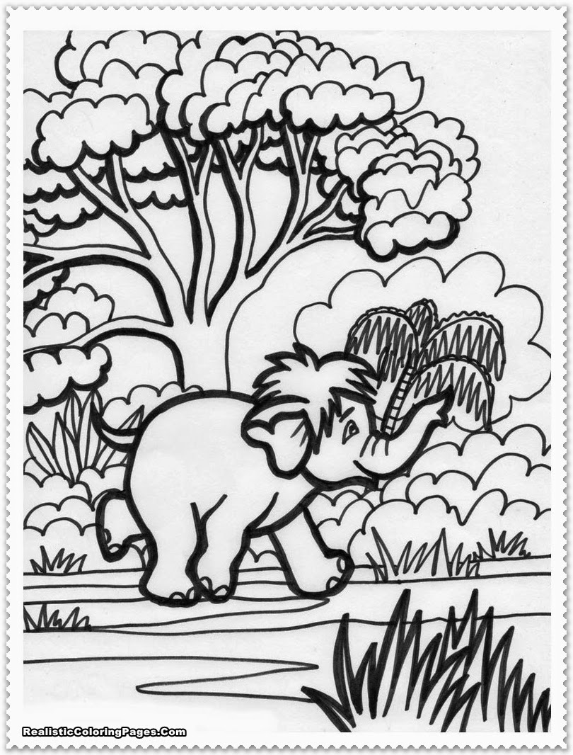 Realistic Jungle Animal Coloring Pages | Realistic Coloring Pages