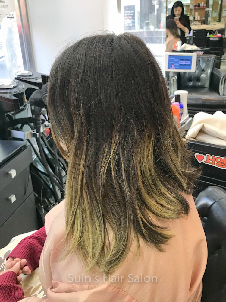 Ash Wine Color 수인스타일 Suinstyle Hair Spa