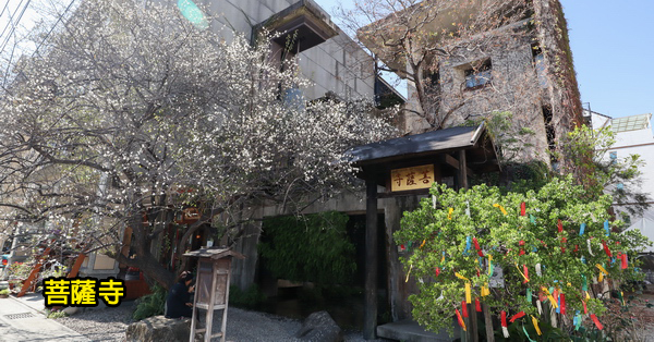 台中大里|IBS菩薩寺|清水模綠建築|隱身在都市中的現代化寺廟|維摩舍|半畝塘 台中大里|IBS菩薩寺|清水模綠建築|隱身在都市中的現代化寺廟|維摩舍|半畝塘