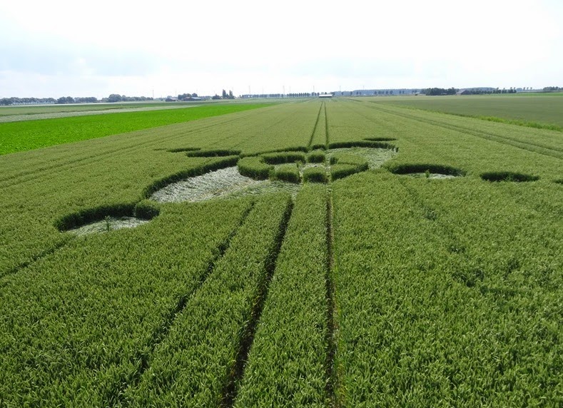 тео круги на полях. жница васнецов. выполнишь поле. поля голландии фото приколы. круги на полях австралия.