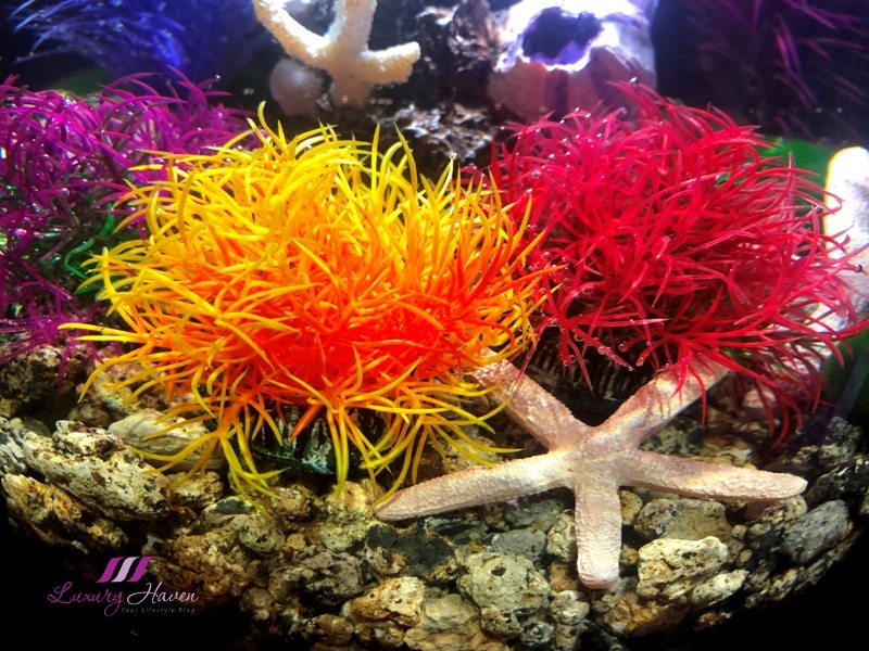 亚克力鱼缸 oase biorb tube aquarium aquatic colour balls
