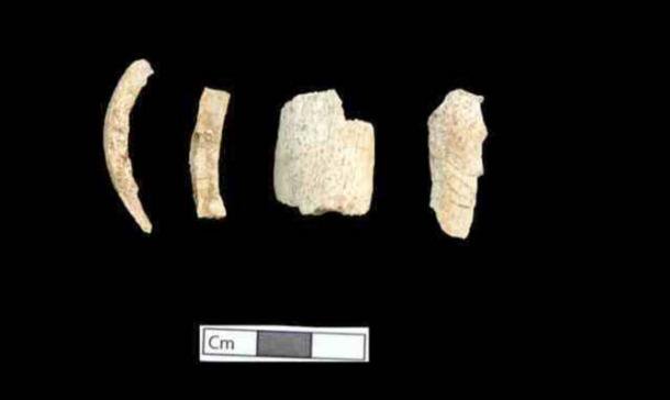 Mary Ann Bernal Bones Found In Magnificent Amphipolis Tomb Belong To
