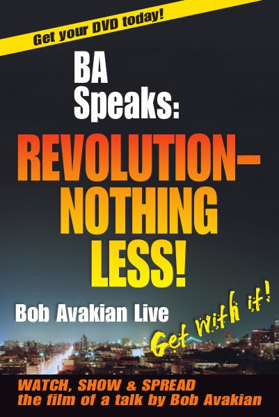 Revolution Nothing Less! DVD