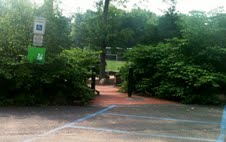 maplefiled theridgewoodblog