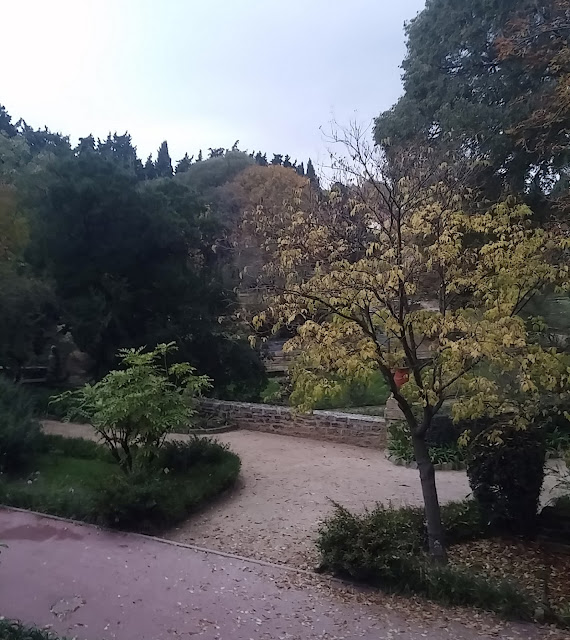 Le jardin des Plantes de Montpellier