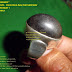 Cincin Perak Batu Fosil GALIH KELOR Ukuran JUMBO model 01 by: IMDA Handicraft Kerajinan Khas Desa TUTUL Jember