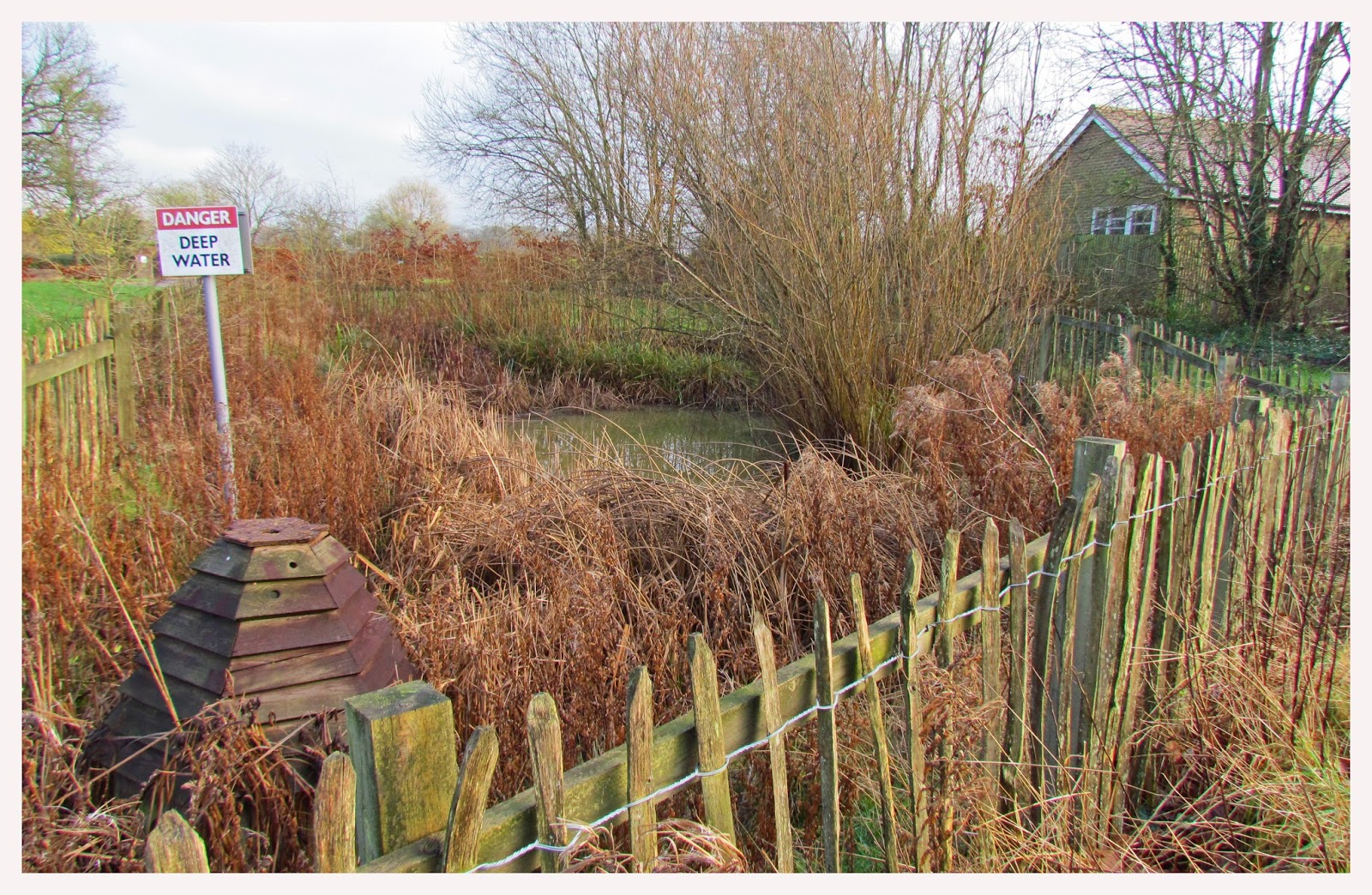 A Natural History of Paddock Wood in 2016 Drainage Ponds in Paddock Wood