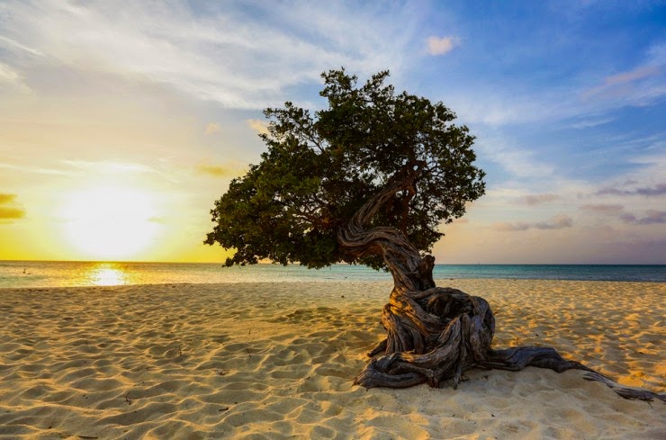 Dutch Holiday Paradise in the Caribbean – Wonderful Aruba