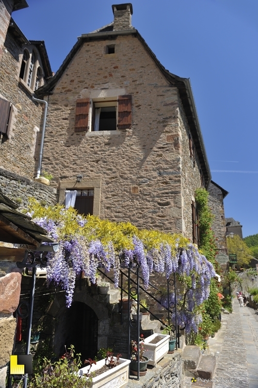 glycine ruelle de conques photo Pascal Blachier