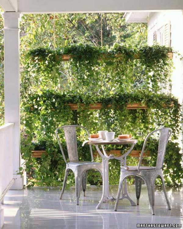 Add Privacy to Your Garden or Yard with Plants | Do it yourself ideas