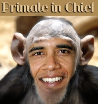 http://4.bp.blogspot.com/-p0n6p_r1LhE/UIC2V5IZoqI/AAAAAAABB4M/avo2AmxPLJ0/s1600/obama-monkey.jpg