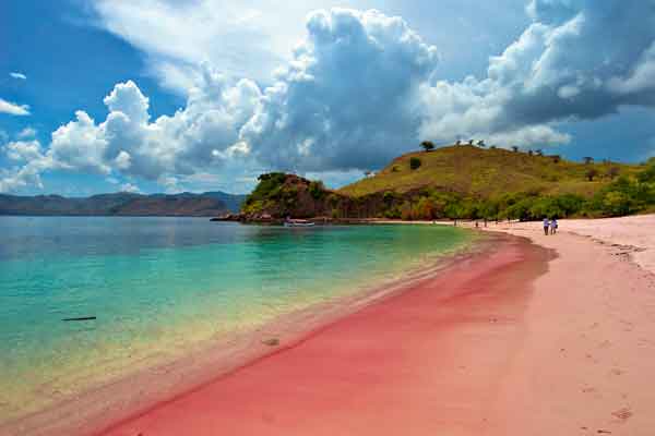 Mengenal Pantai Berpasir Merah Muda di Indonesia Mengenal Pantai Berpasir Merah Muda di Indonesia
