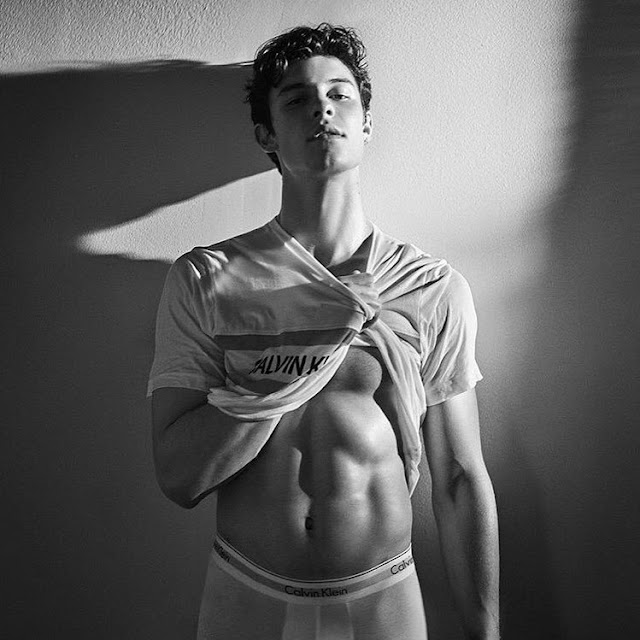 DIARY OF A CLOTHESHORSE Shawn Mendes for Calvin Klein My Calvins SS 19