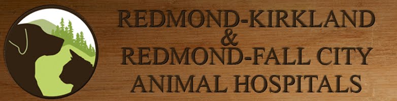 Redmond-Kirkland/Fall City Animal Hospitals