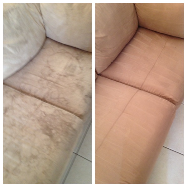 Limpieza de Alfombras en Miami (786)4315544