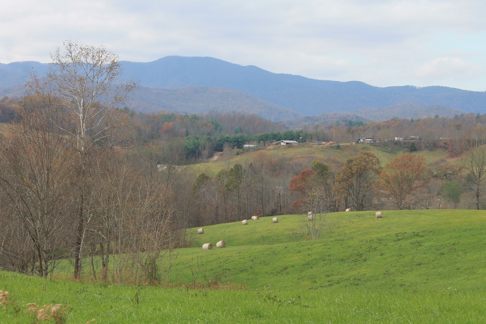 Hoorahoopti Away Bob White Covered Bridge Woolwine, VA